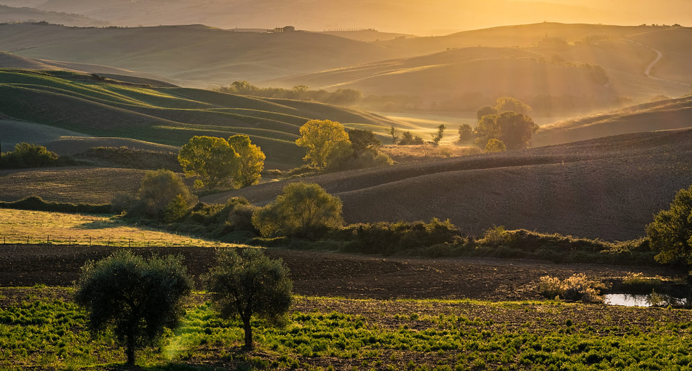 _DSC3086-HDR