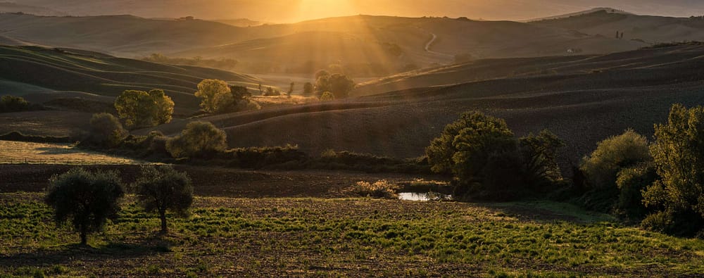 Tuscany, Italy, 2016 Tuscany, Italy, 2016