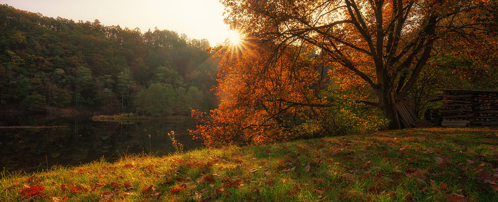 _DSC7528-Bearbeitet