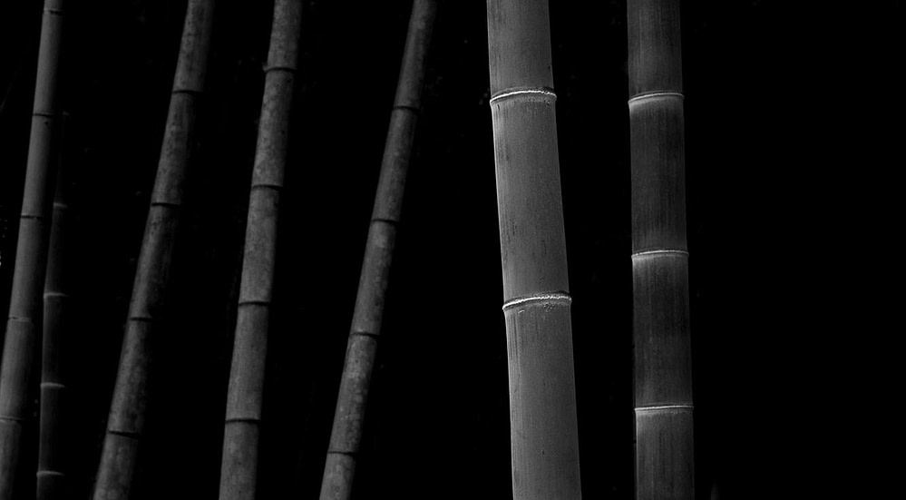 Arashiyama Bamboo Grove, Kyoto
