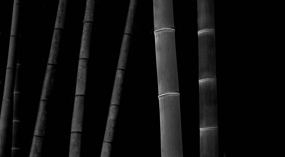 Arashiyama Bamboo Grove, Kyoto