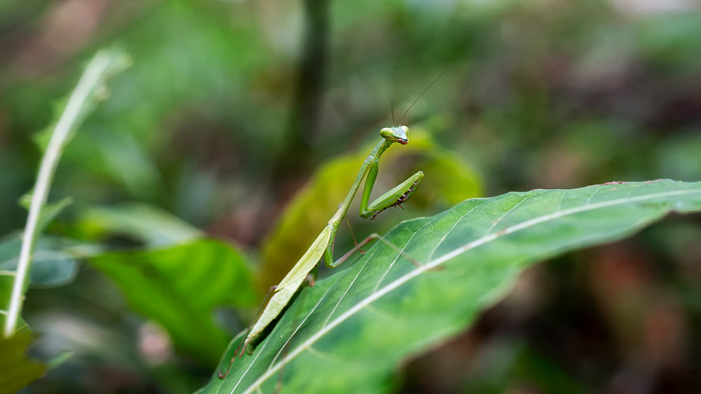 DSC00478_s