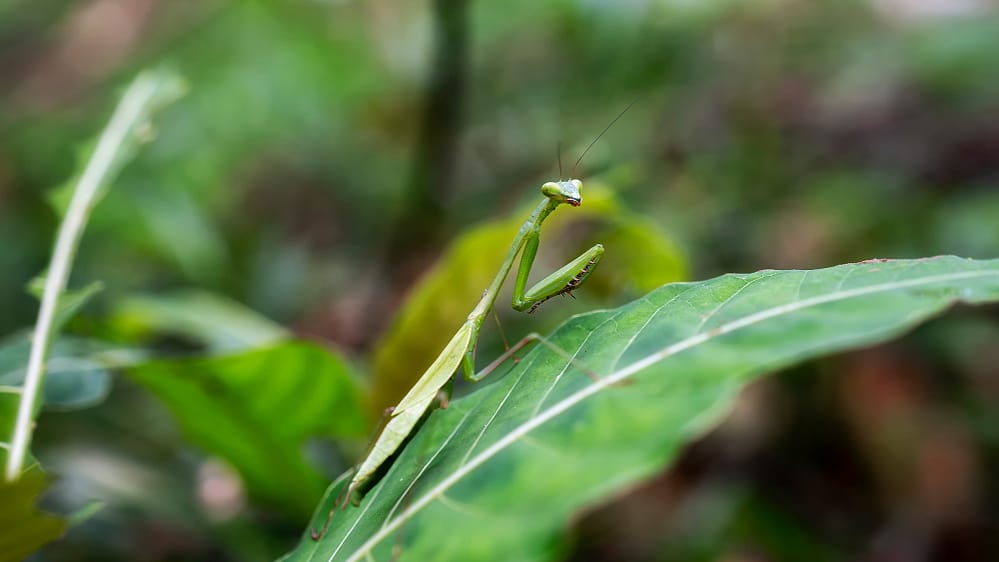 DSC00478_s