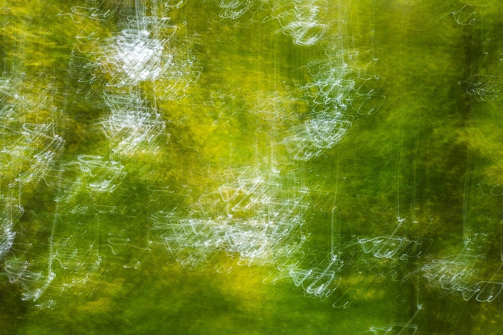 Catharsis