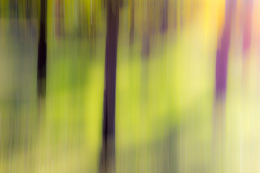 _DSC8904