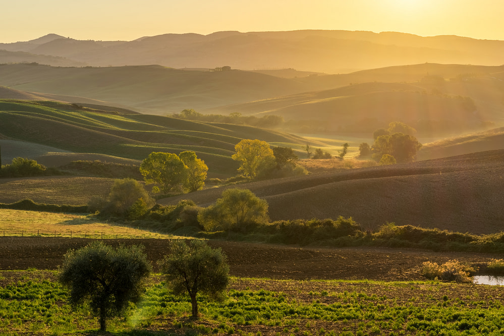 _DSC3086-HDR