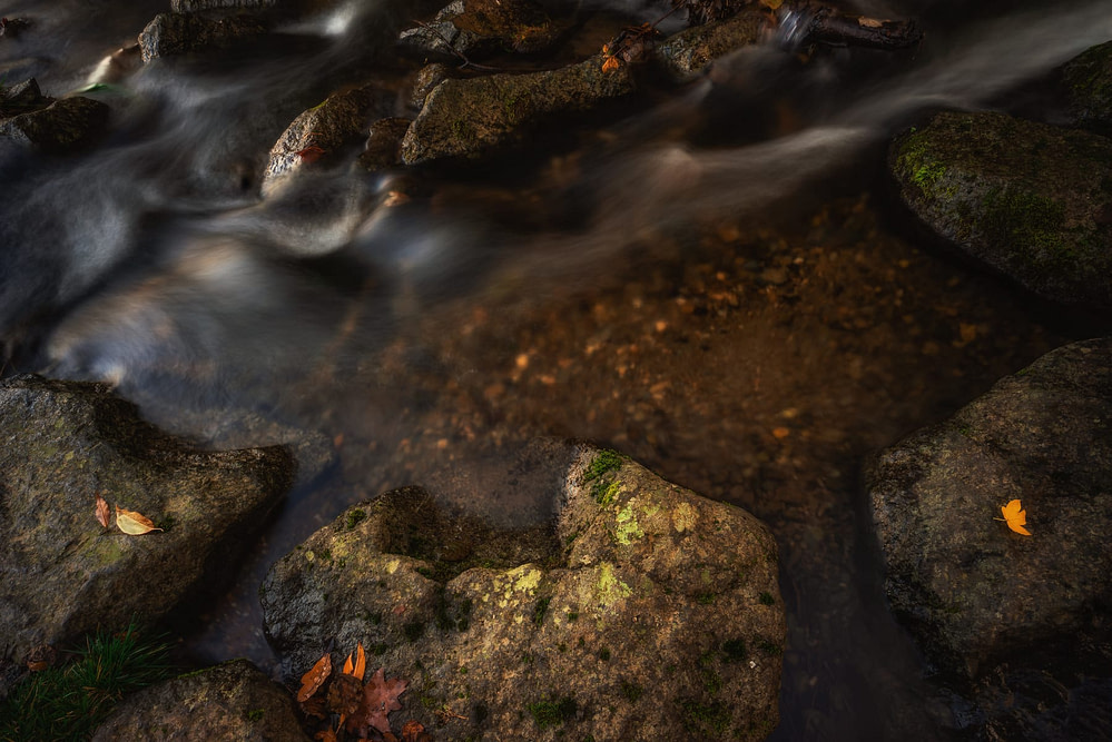 _DSC7580-Bearbeitet