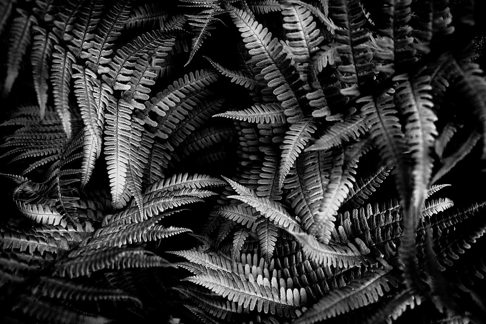 _DSC2058