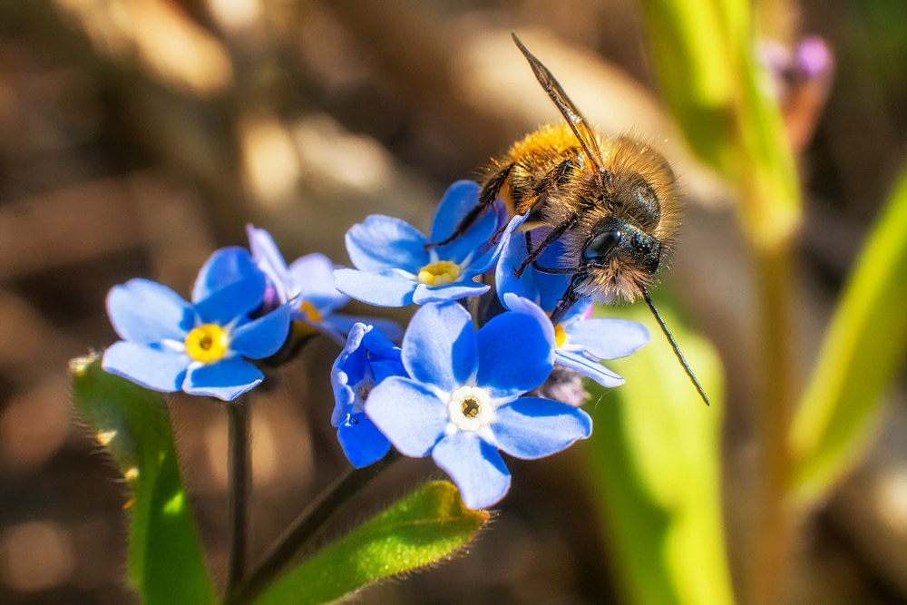 _DSC6338s_weboptimiert