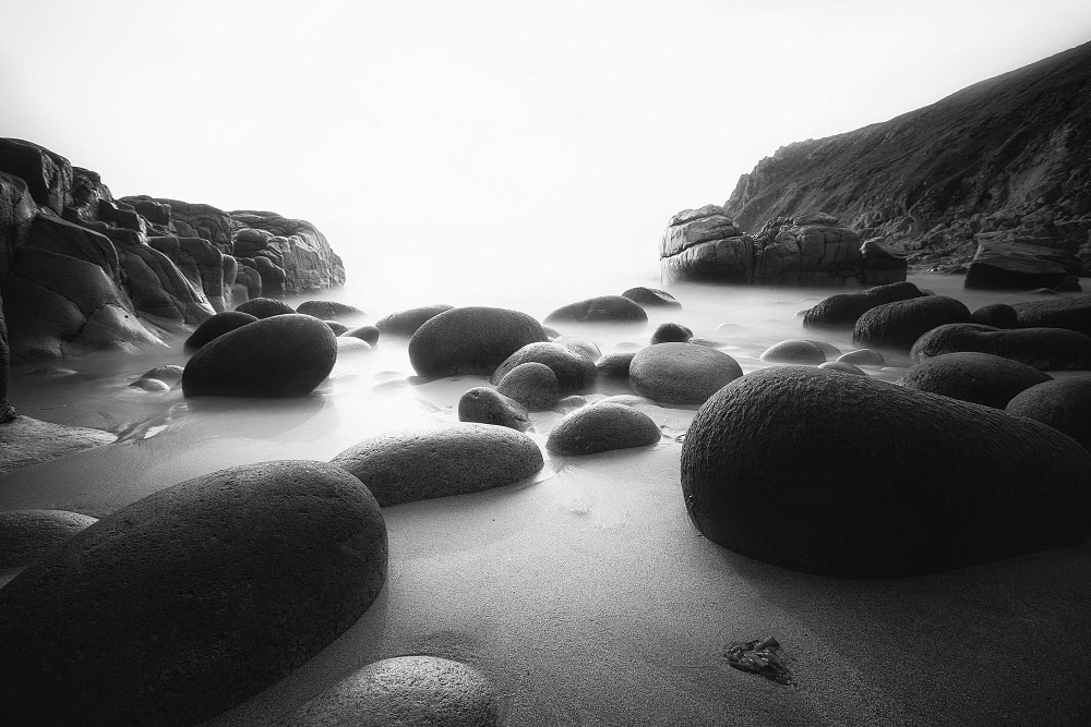 _DSC6517s