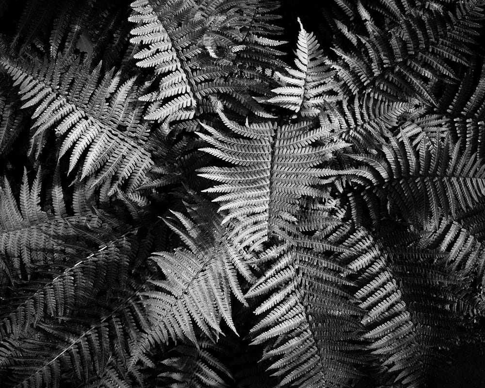 SW001-Bearbeitet-6