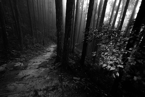 Kumano Kodo, Japan, 2017