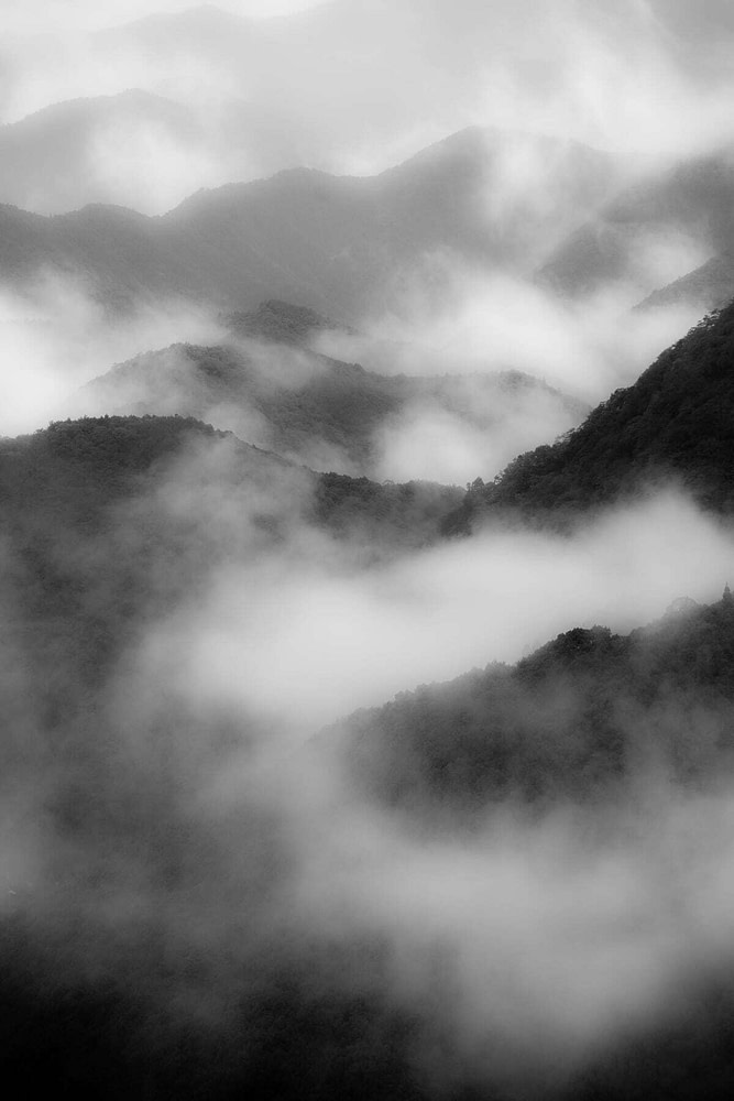 _DSC0974