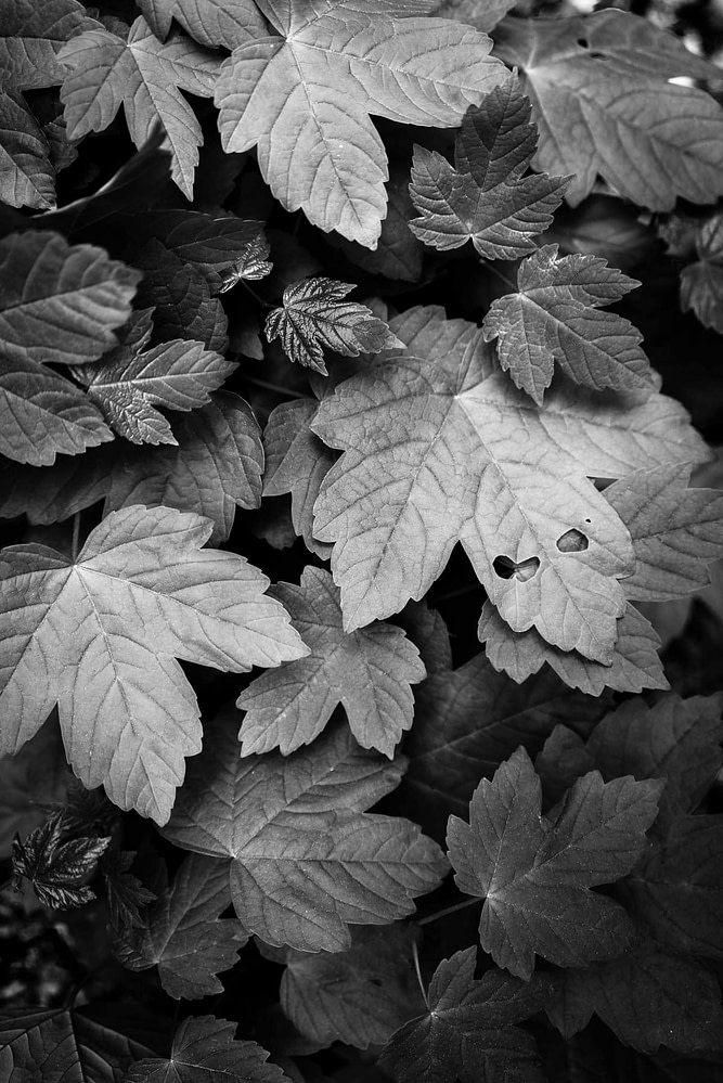 _DSC2056